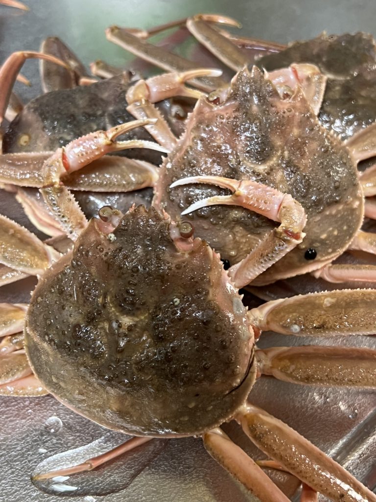 さあ 本日も素敵な一日にいたしましょいう 本日は定休日です Hf Age